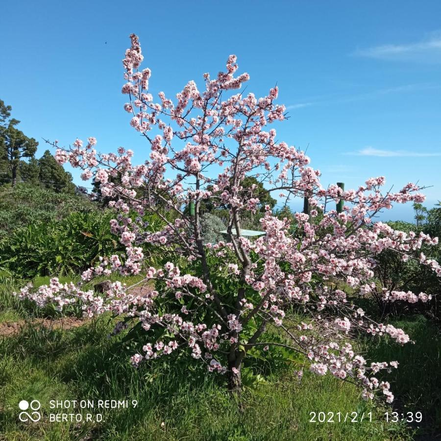 Appartamento Casa Imeldo Y Eloisa El Pinar  Esterno foto